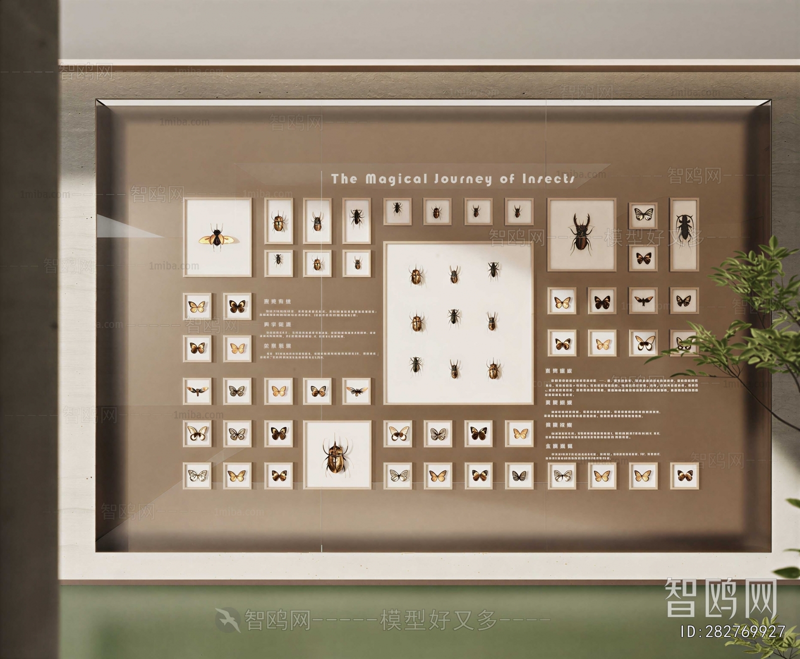 Modern Showcase