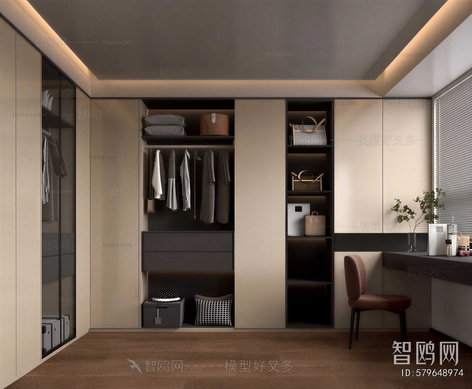 Modern Clothes Storage Area