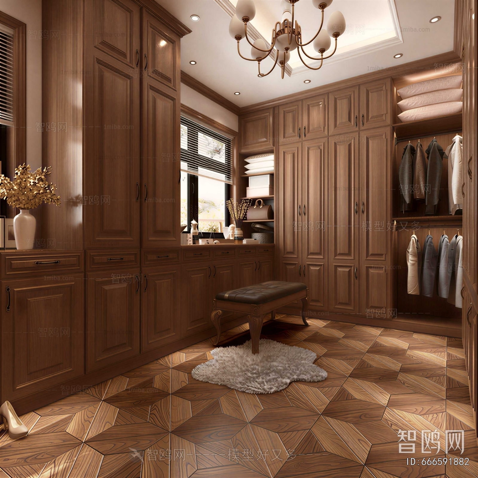 American Style Clothes Storage Area