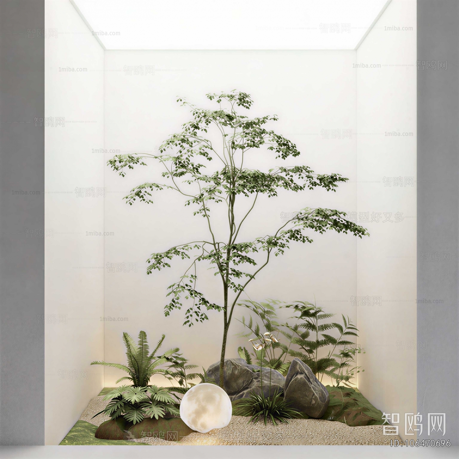 Modern Plant Landscaping