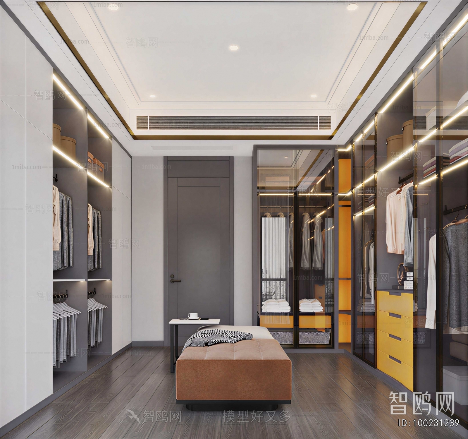 Modern Clothes Storage Area