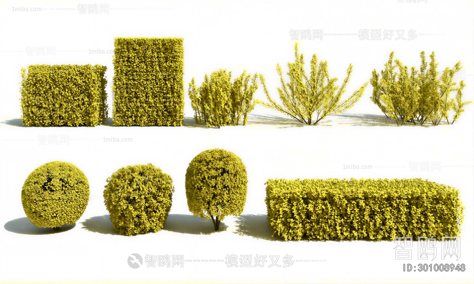 Modern Shrubbery