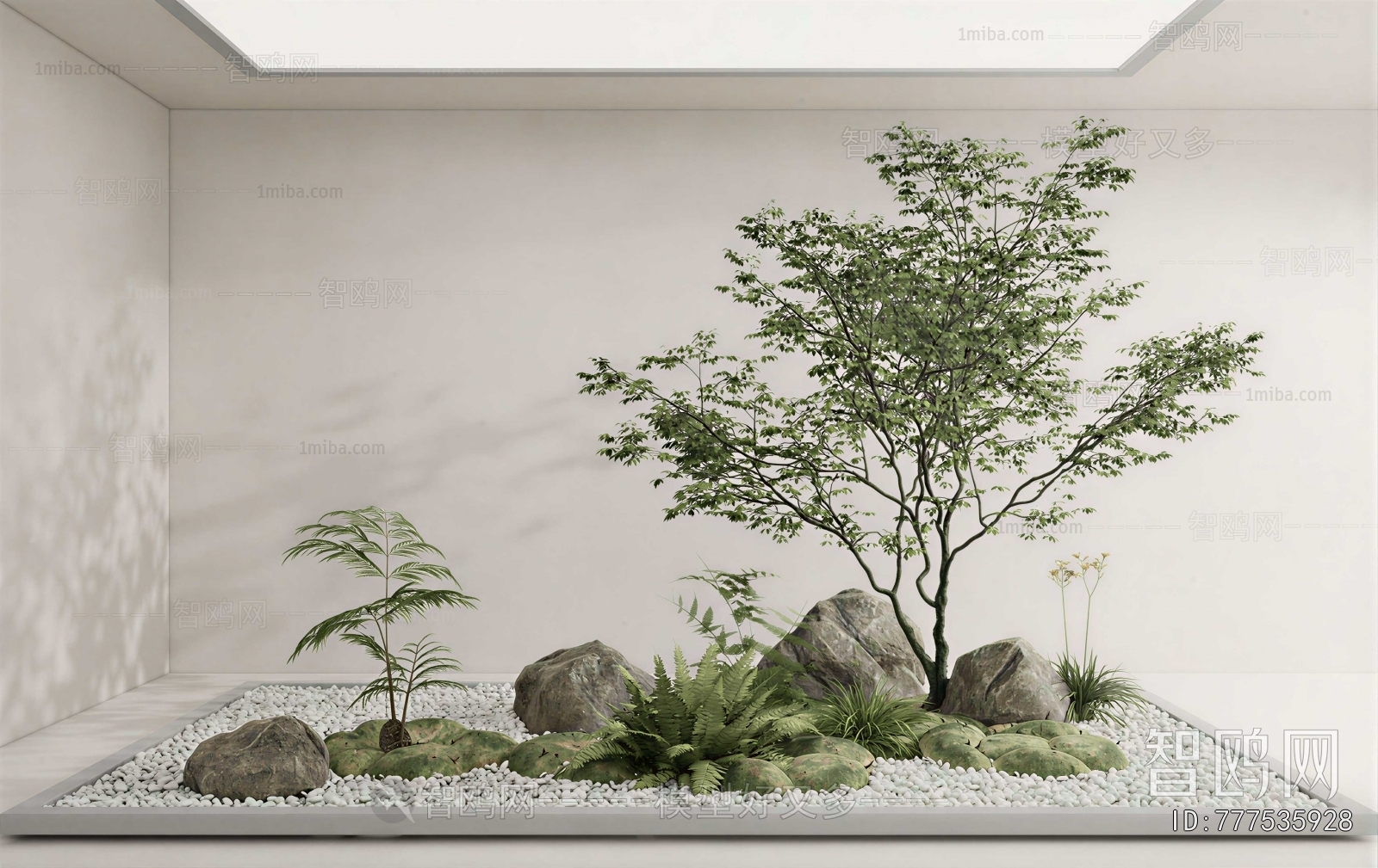 Modern Plant Landscaping