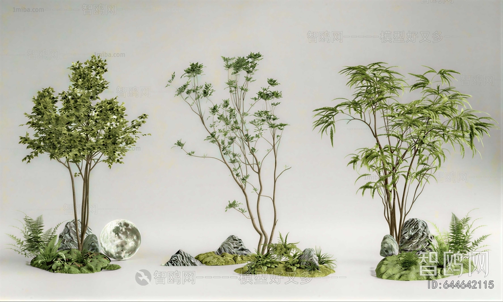 Modern Plant Landscaping