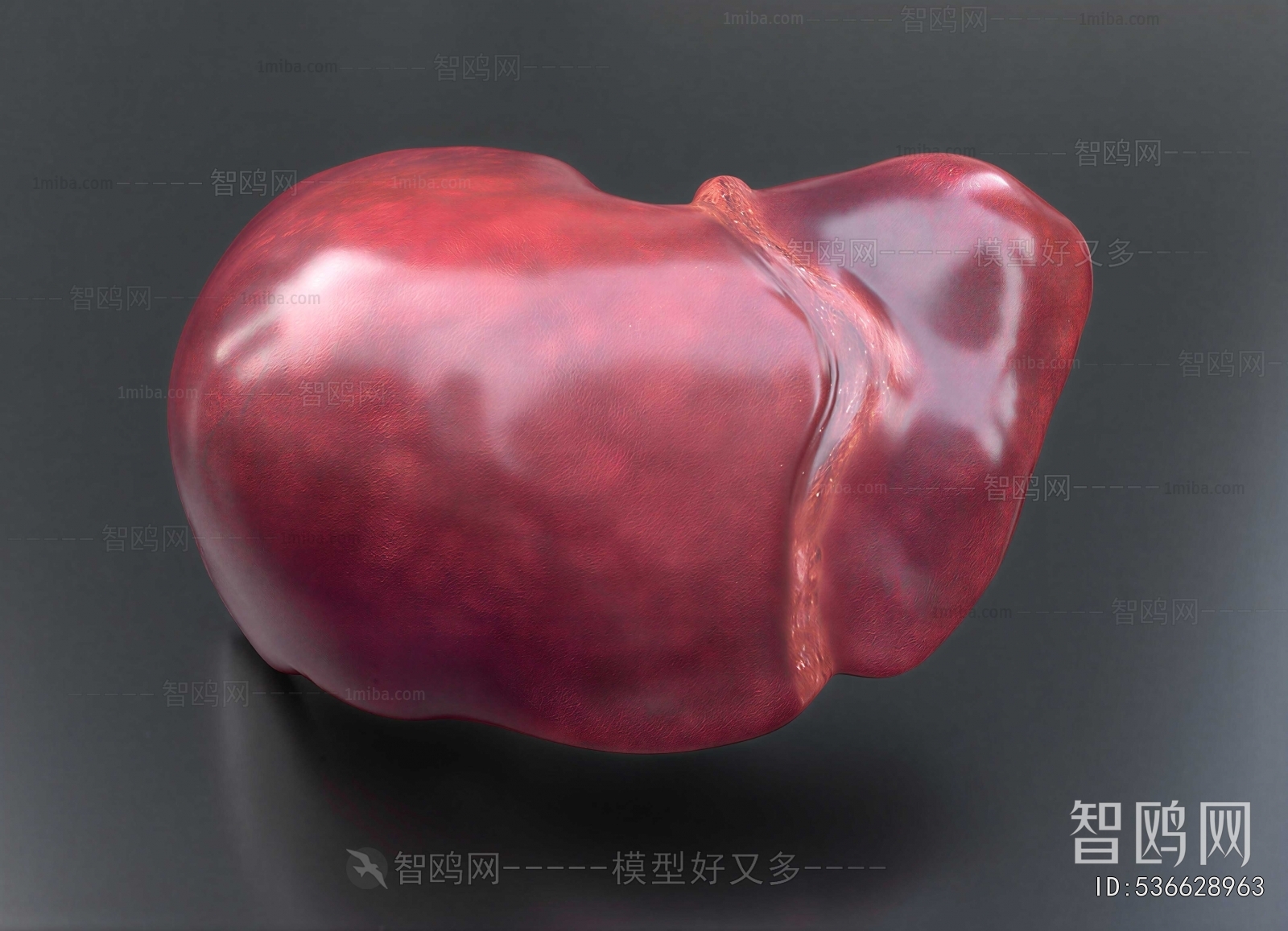 Modern Medical Equipment