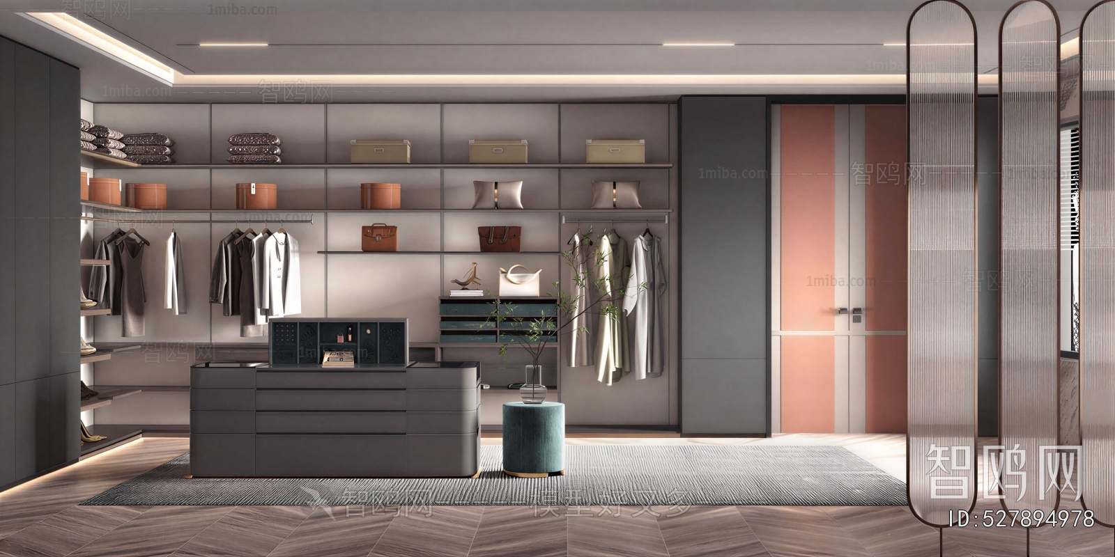 Modern Clothes Storage Area