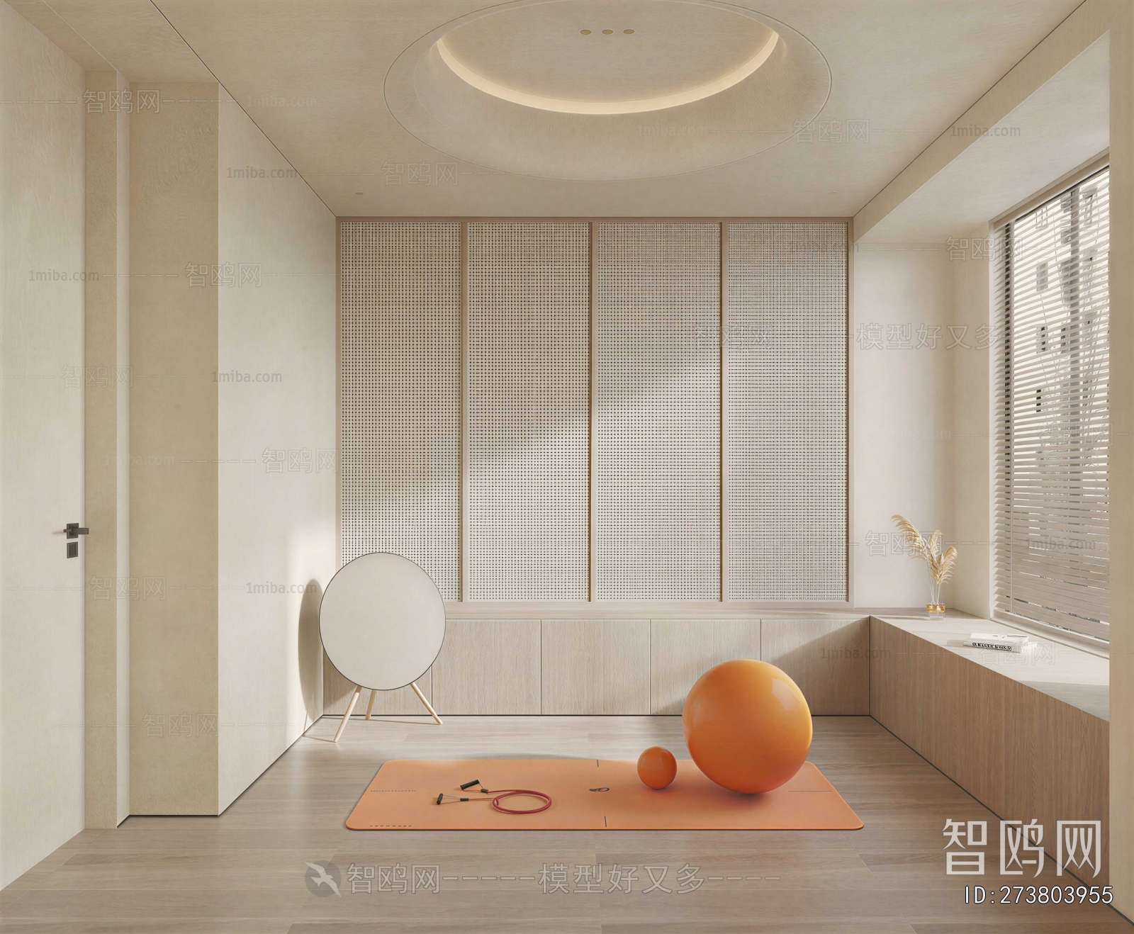 Modern Home Fitness Room