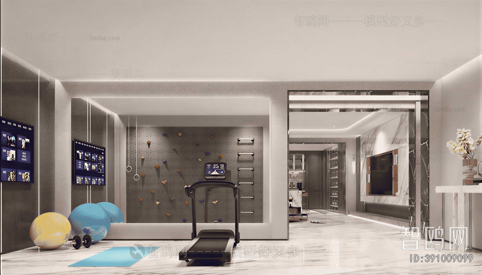 Modern Home Fitness Room