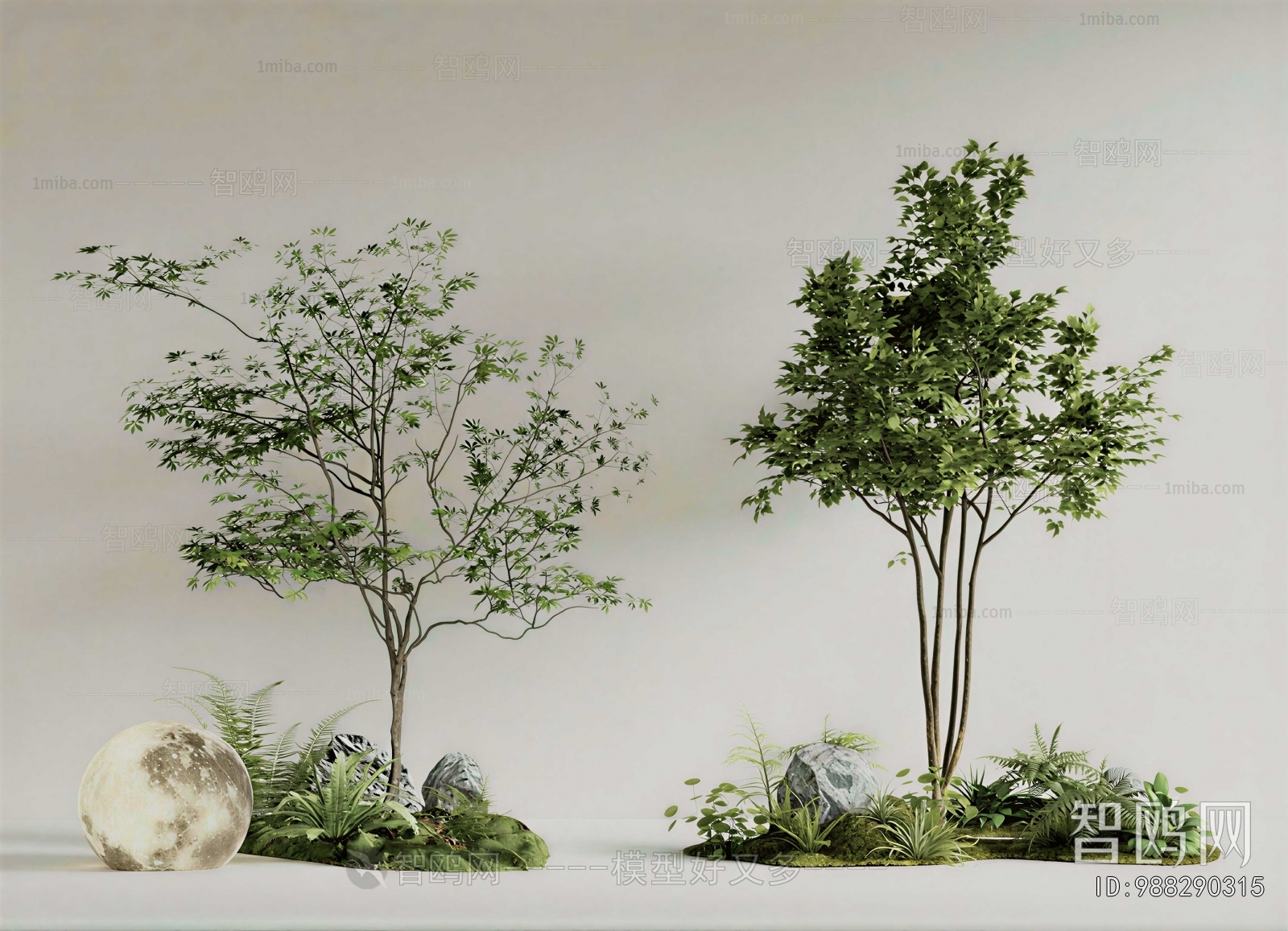 Modern Plant Landscaping