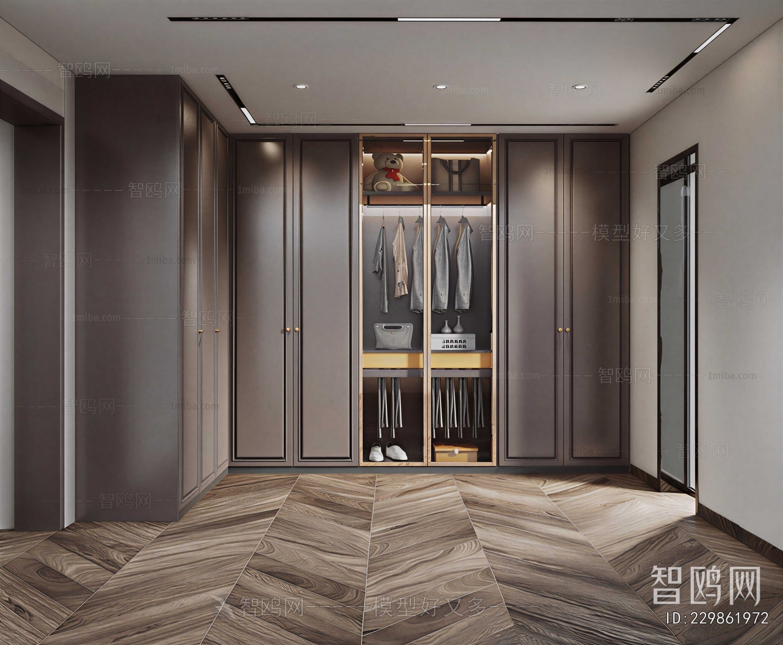 Modern Clothes Storage Area