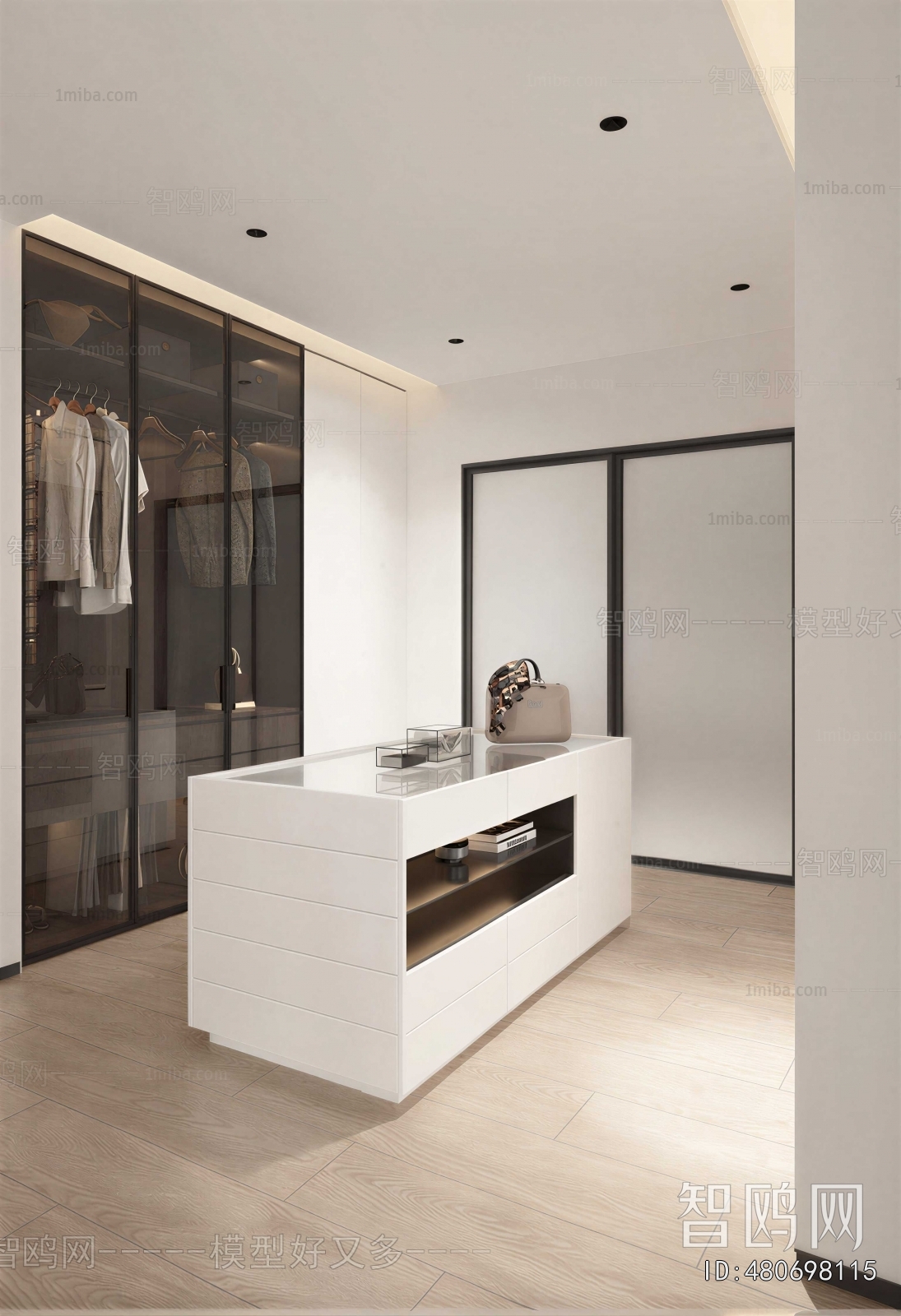 Modern Clothes Storage Area