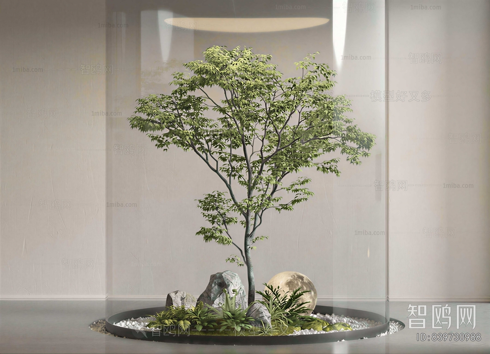 Modern Plant Landscaping