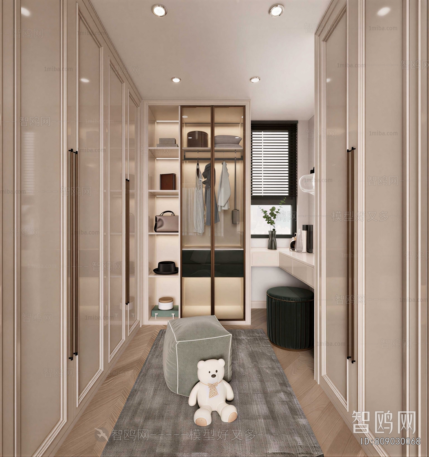 Modern Clothes Storage Area
