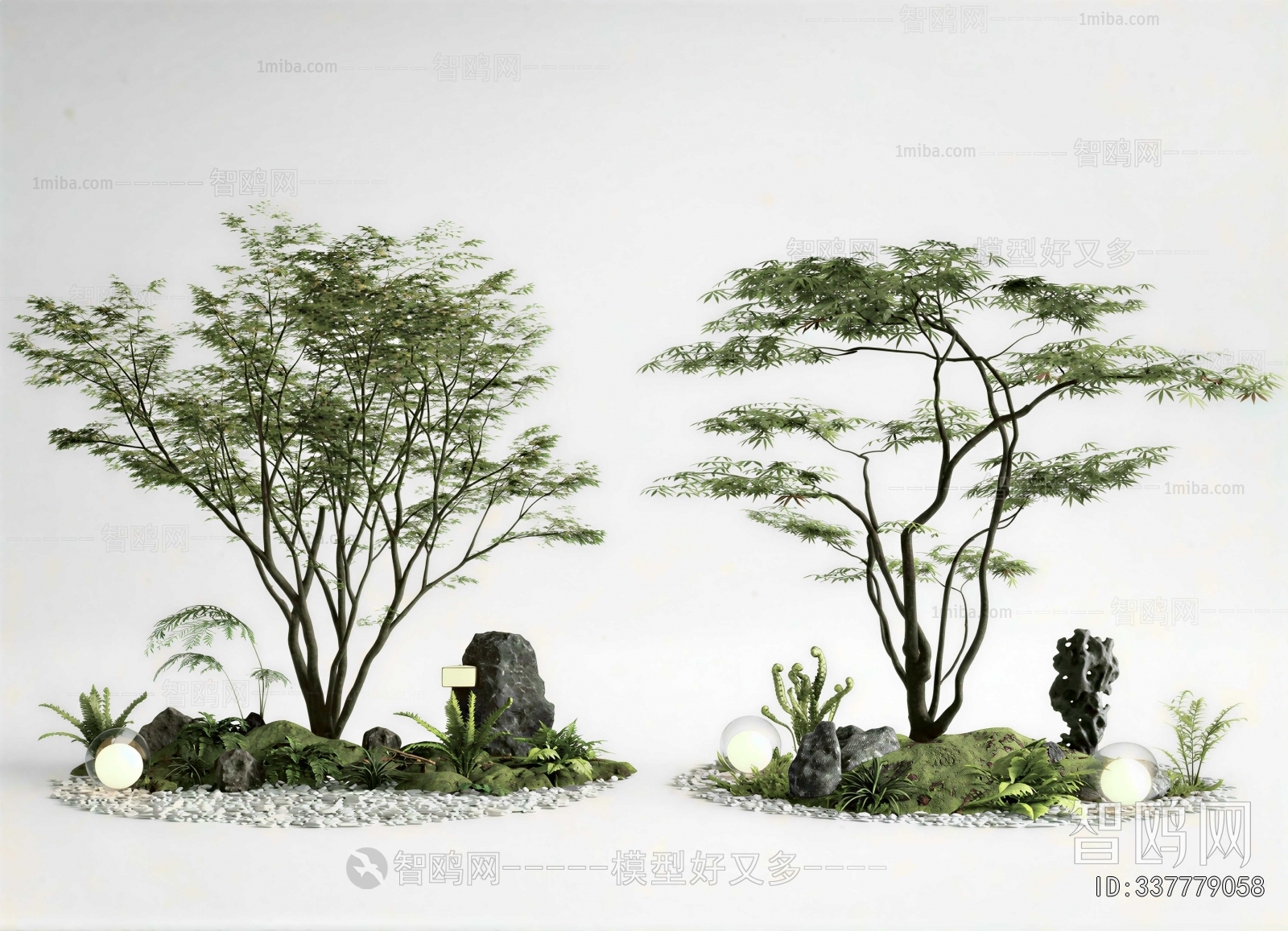 Modern Plant Landscaping