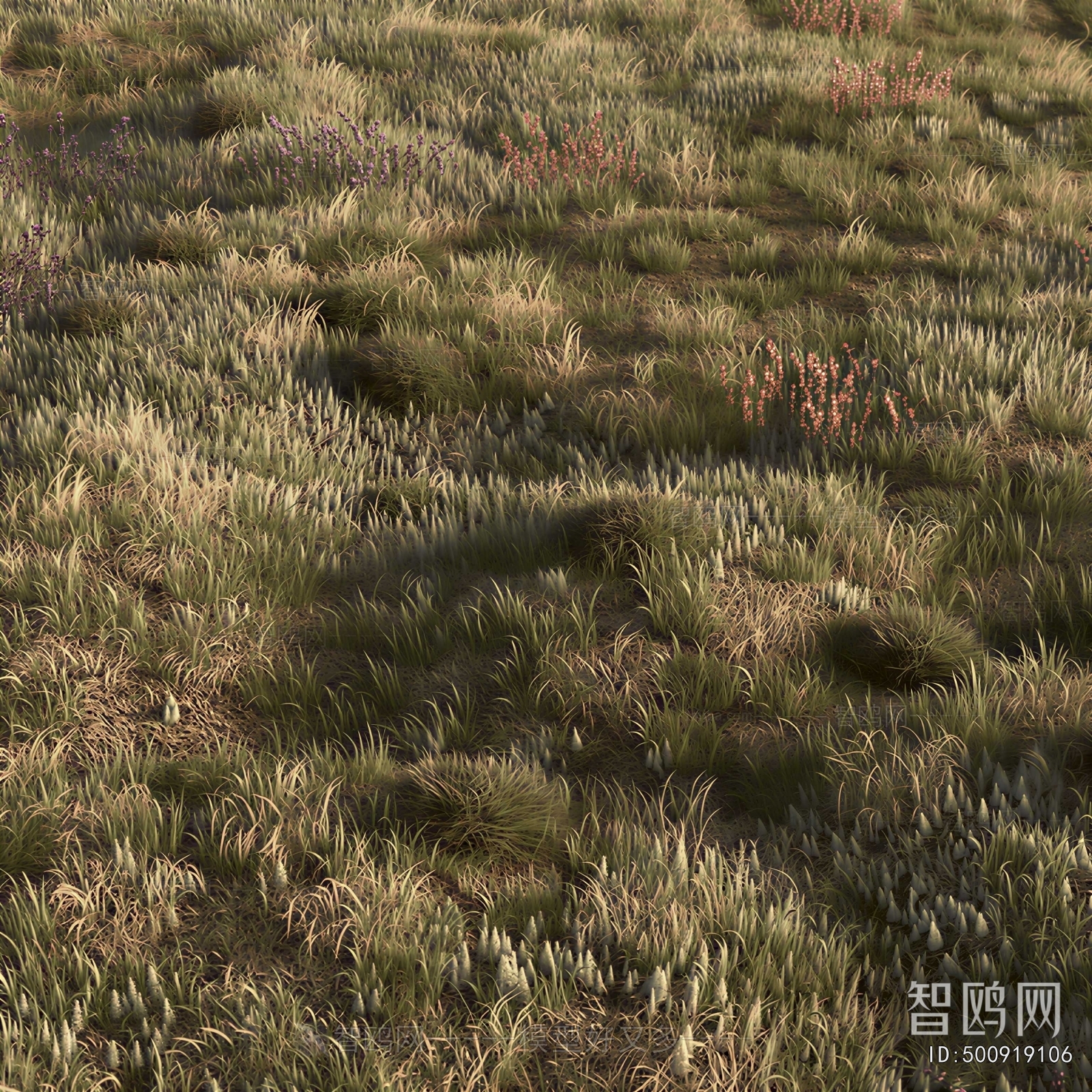 Modern Flowers And Grass