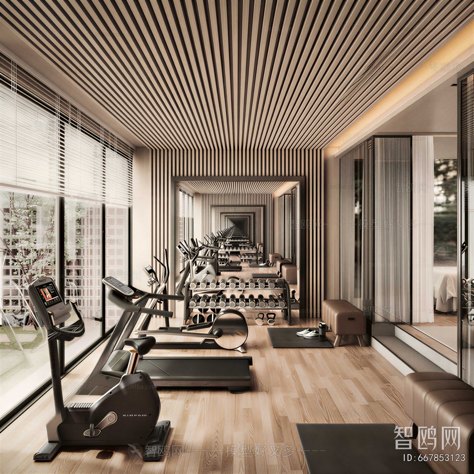 Modern Gym