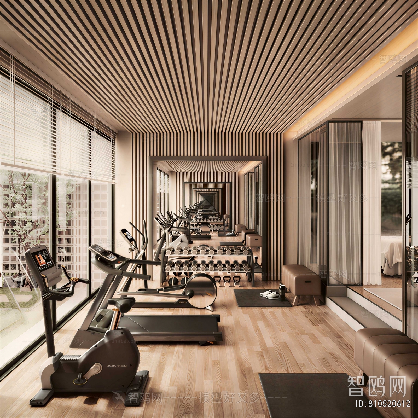 Modern Gym