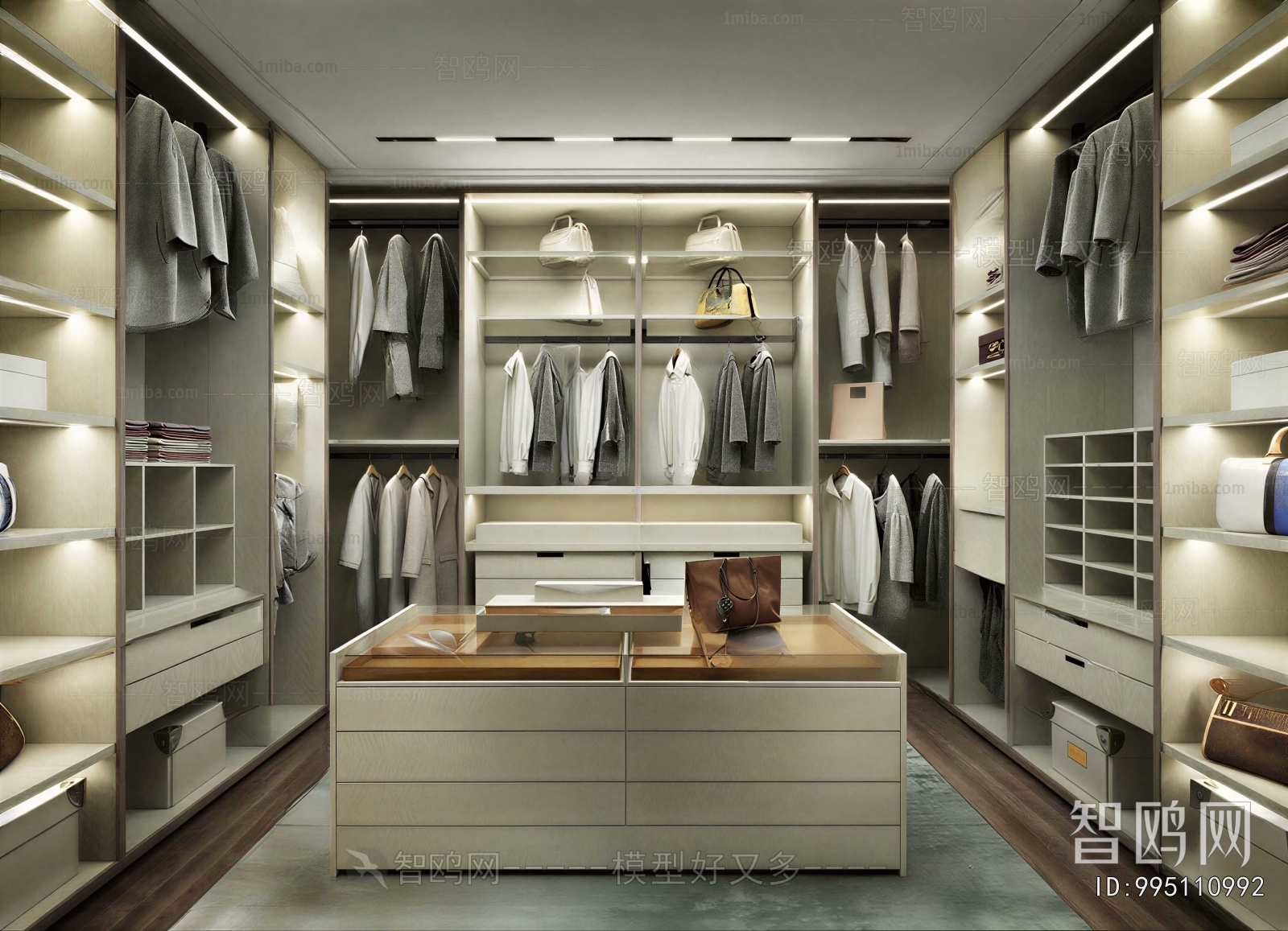 Modern Clothes Storage Area