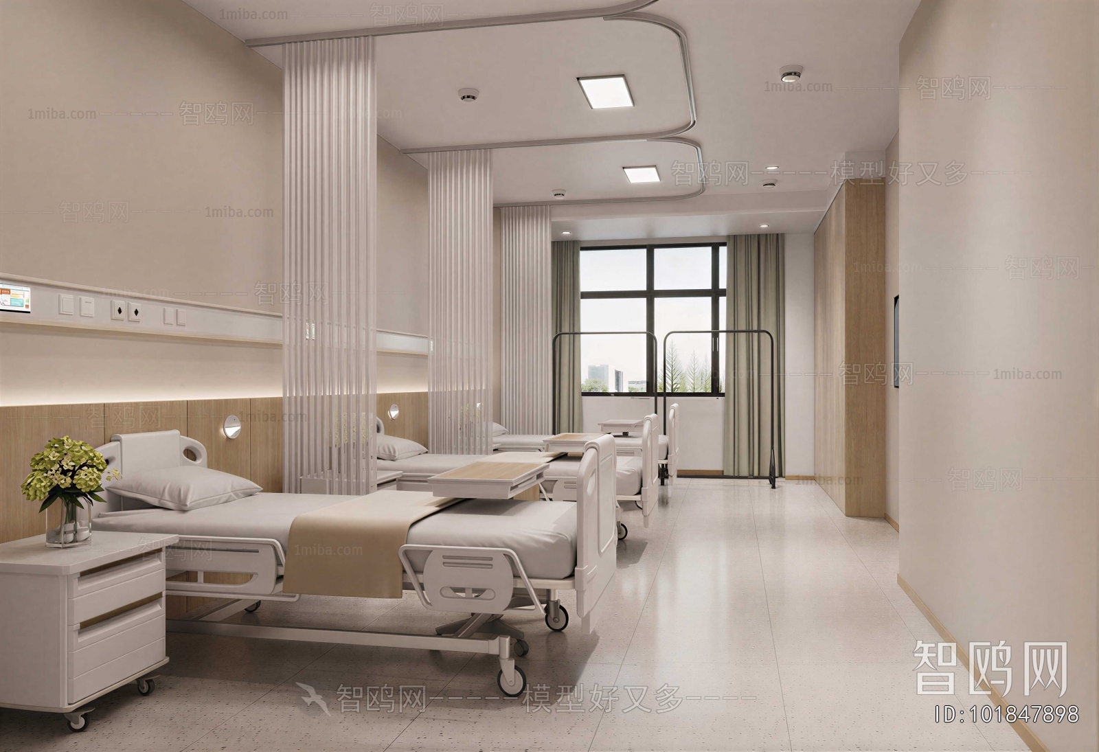 Modern Hospital