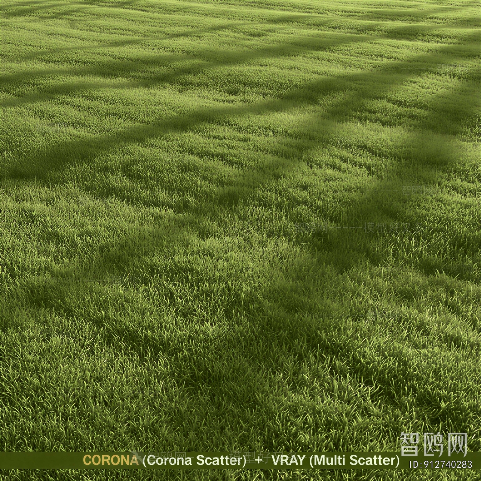 Modern The Grass