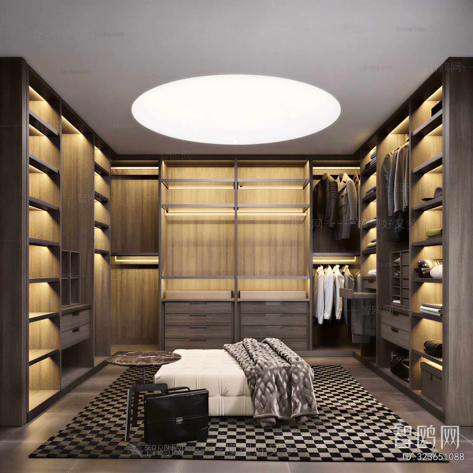 Modern Clothes Storage Area