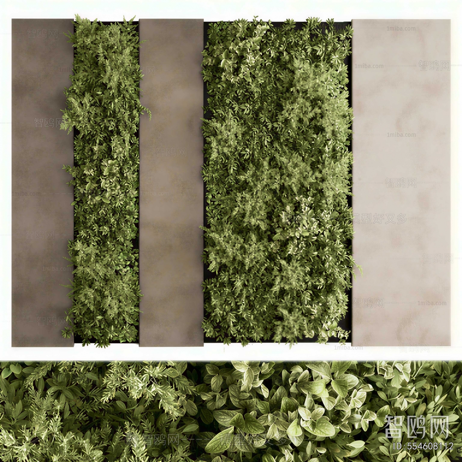Modern Plant Wall