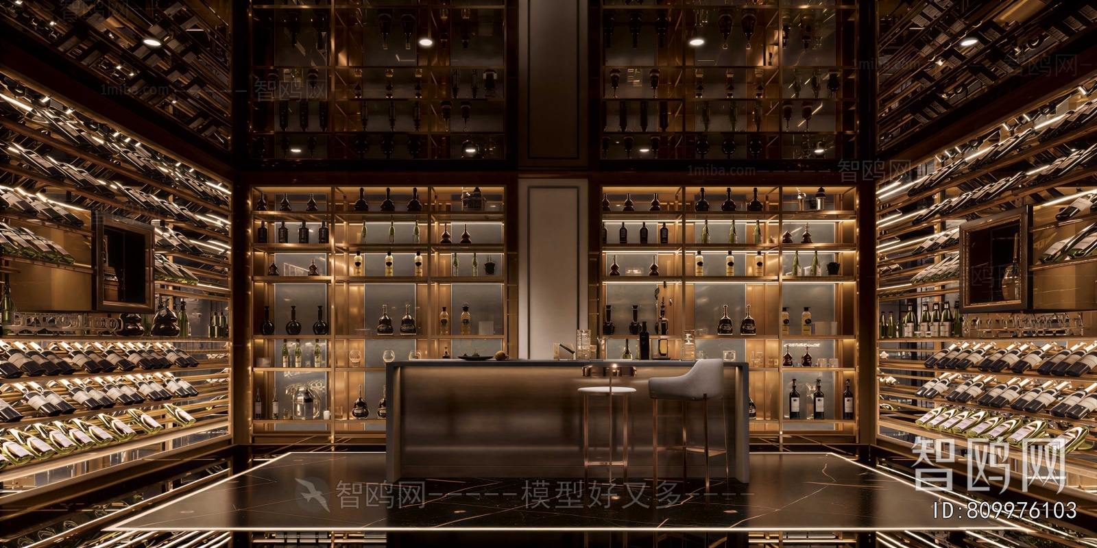 Modern Wine Cellar/Wine Tasting Room