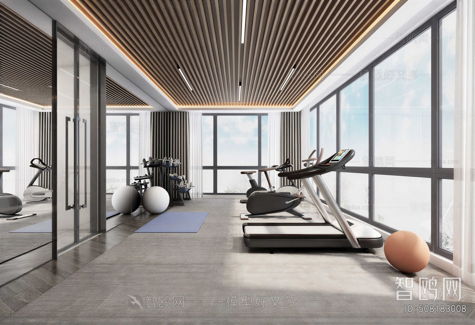 Modern Gym