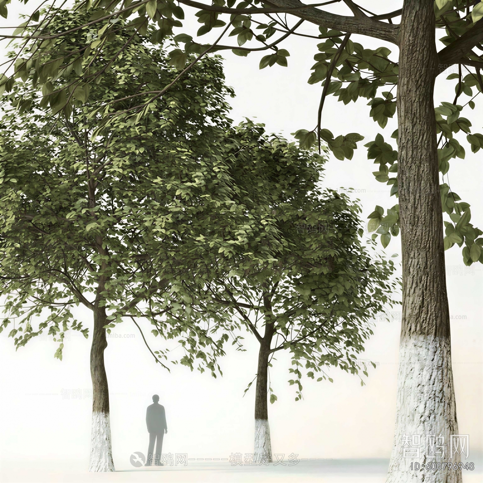Modern Tree