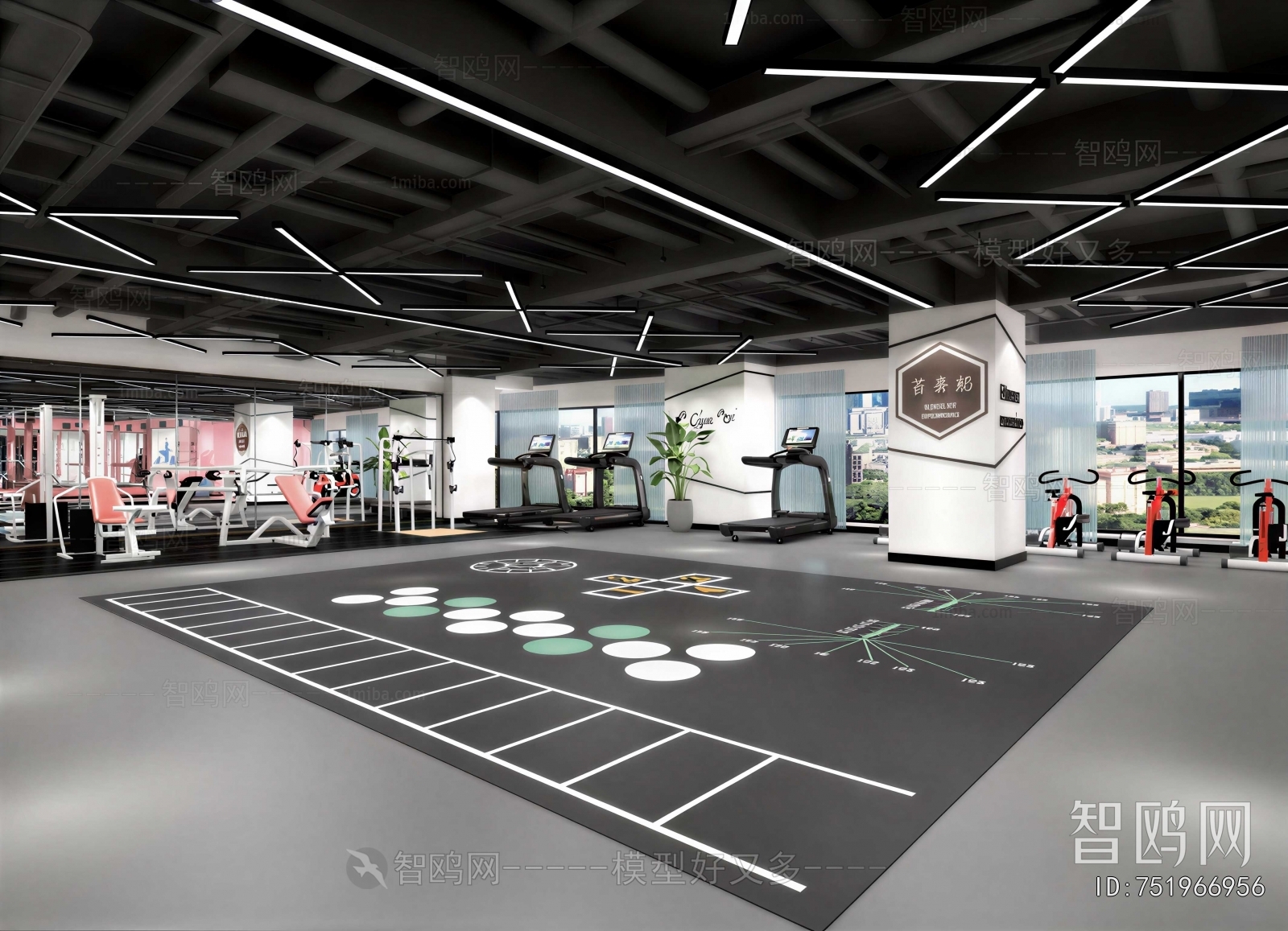 Modern Gym