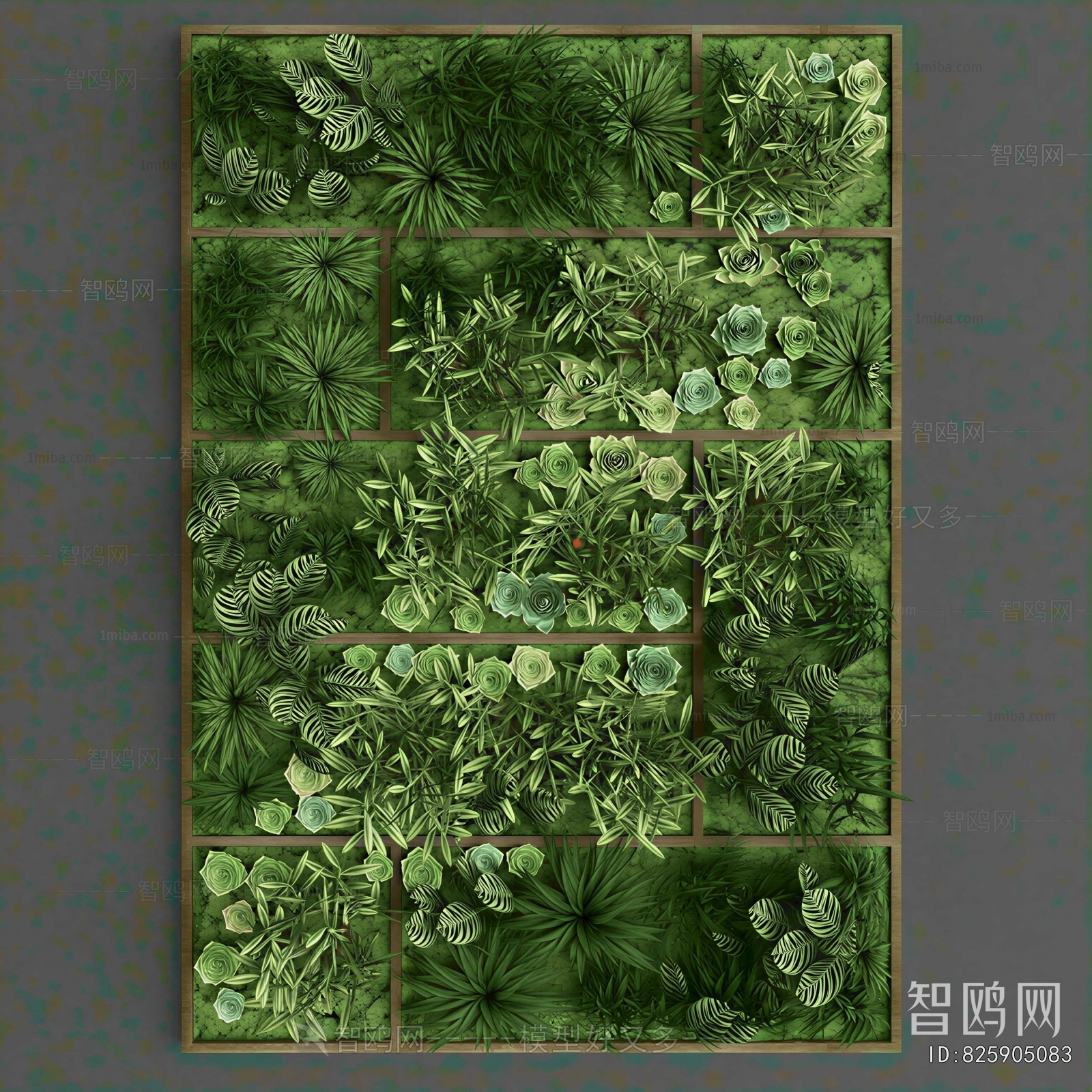 Modern Plant Wall