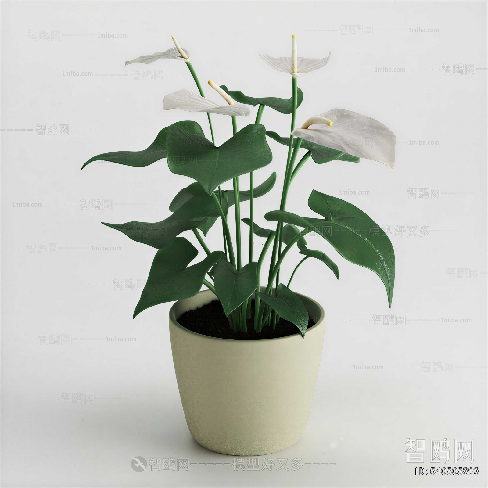 Modern Potted Green Plant