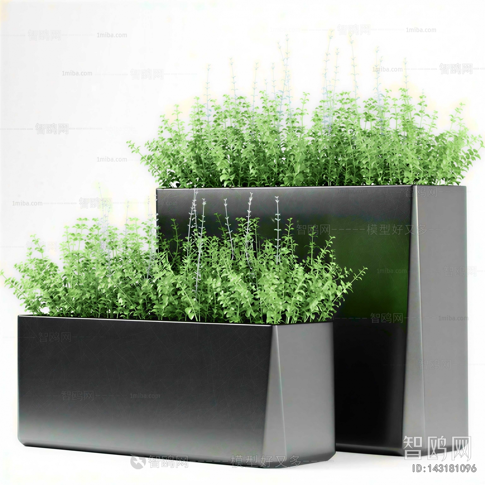 Modern Flower Bed, Flower Bowl, Flower Box