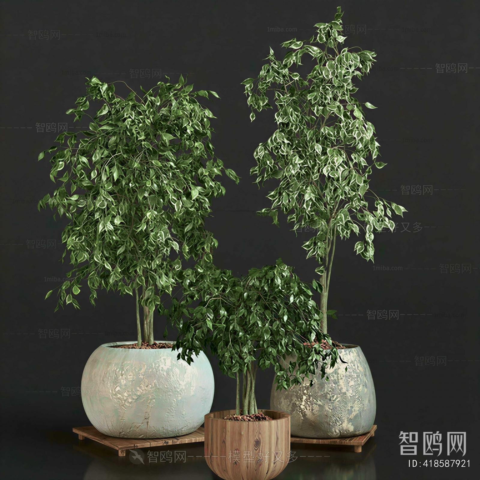 Modern Ground Green Plant Potted Plants