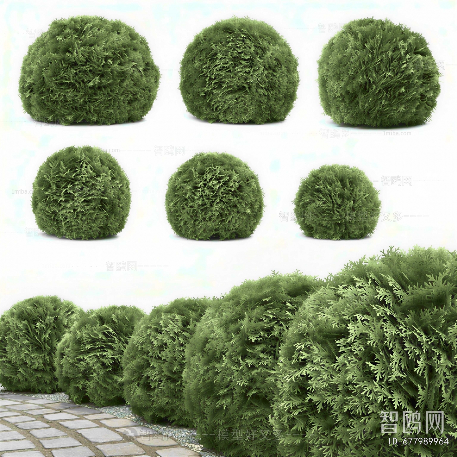 Modern Shrubbery