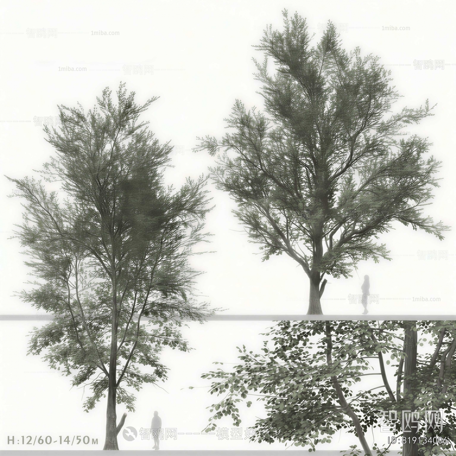 Modern Tree