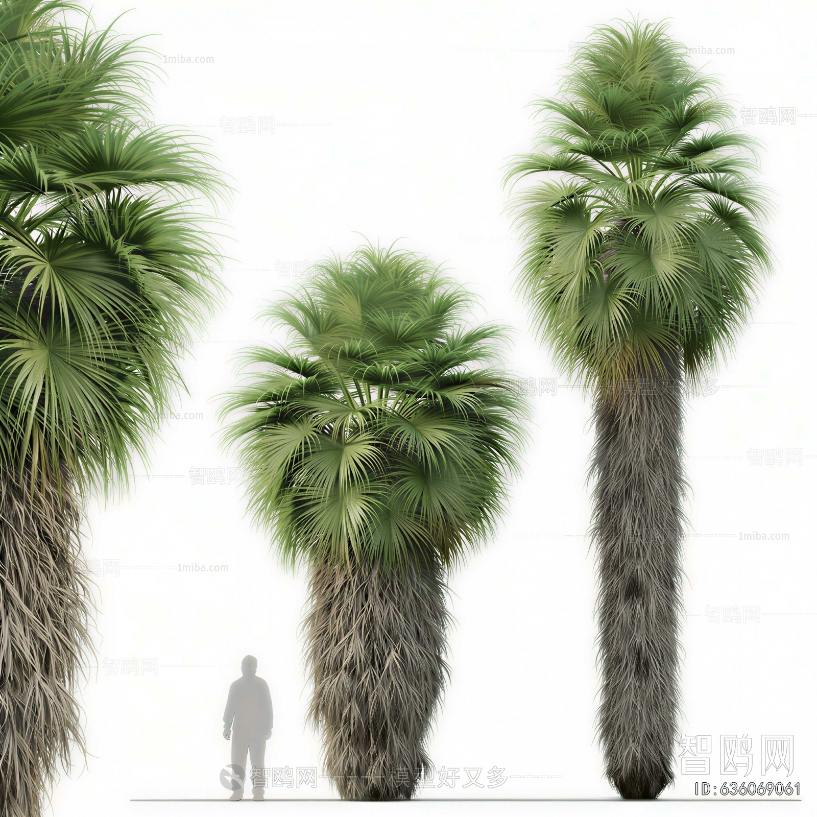 Modern Tree