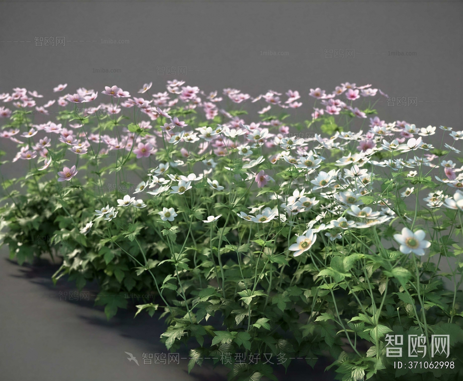 Modern Flowers And Grass