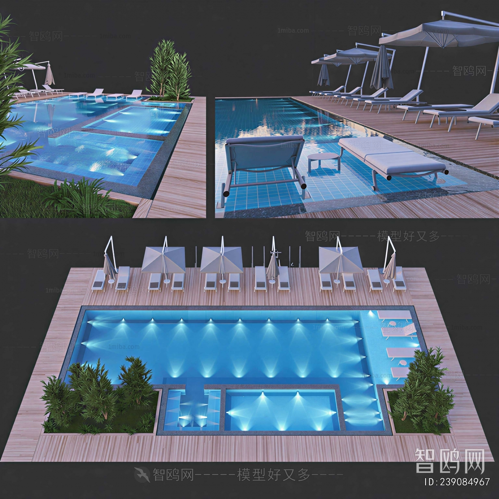 Modern Swimming Pool