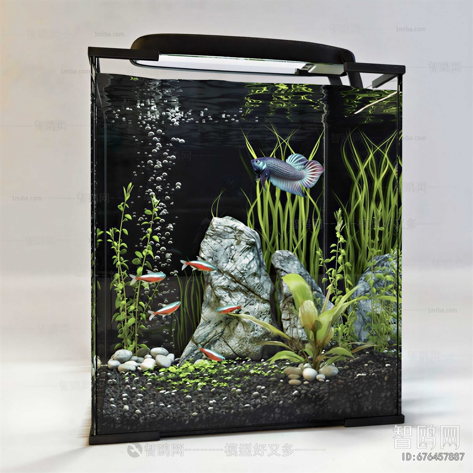 Modern Fish Tank