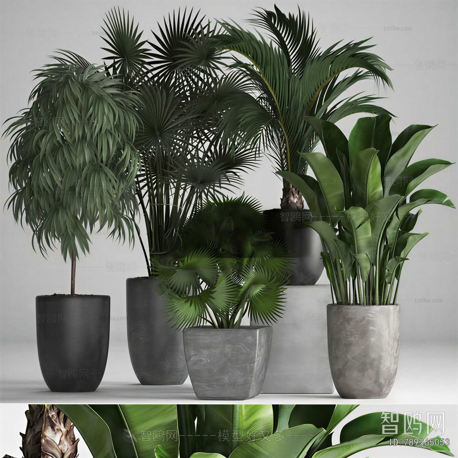 Modern Ground Green Plant Potted Plants