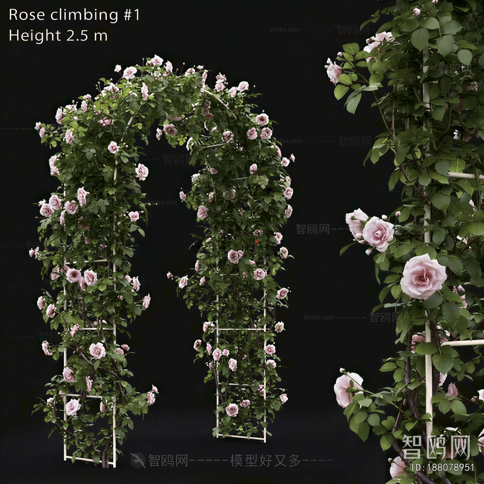 Modern Flower Rack