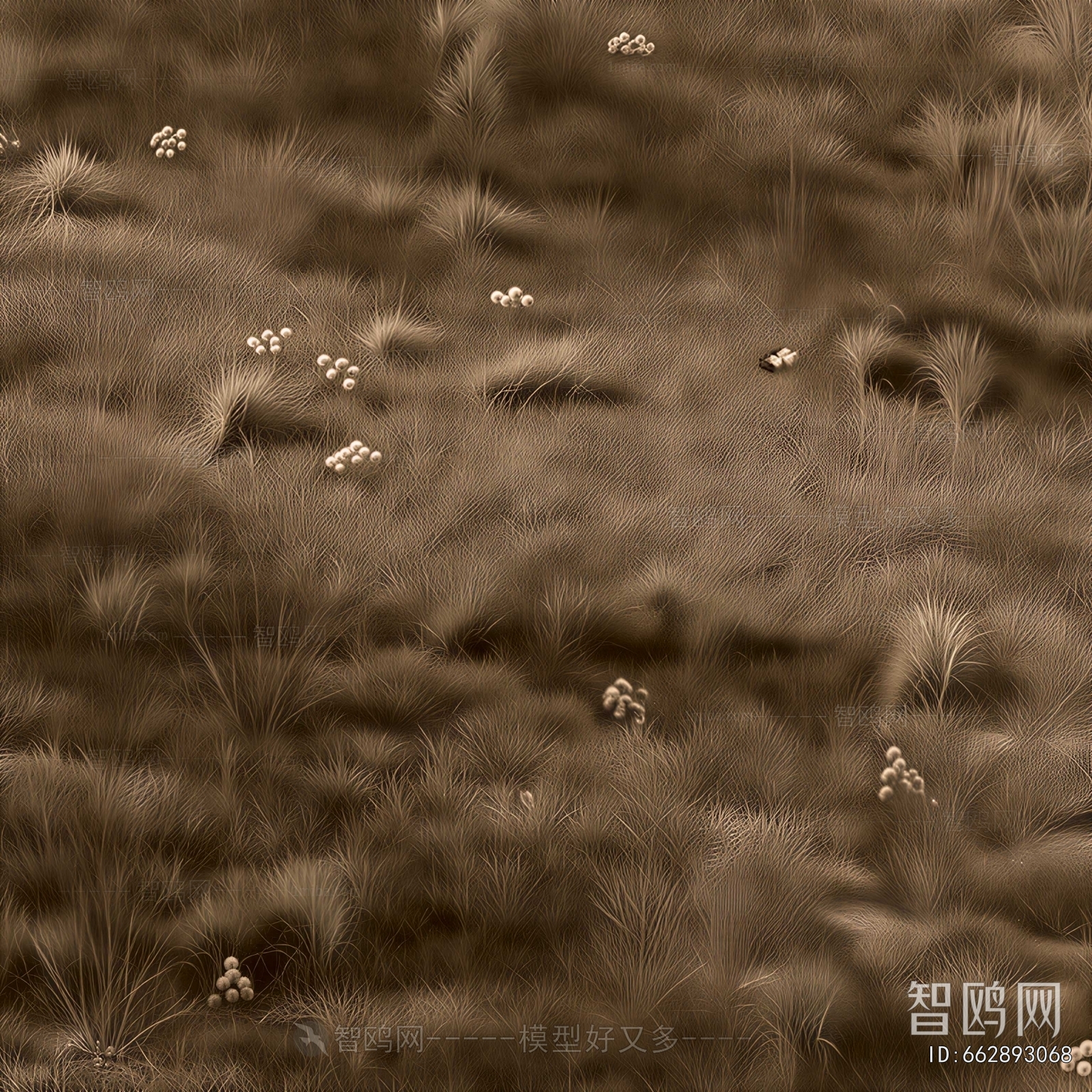 Modern Flowers And Grass