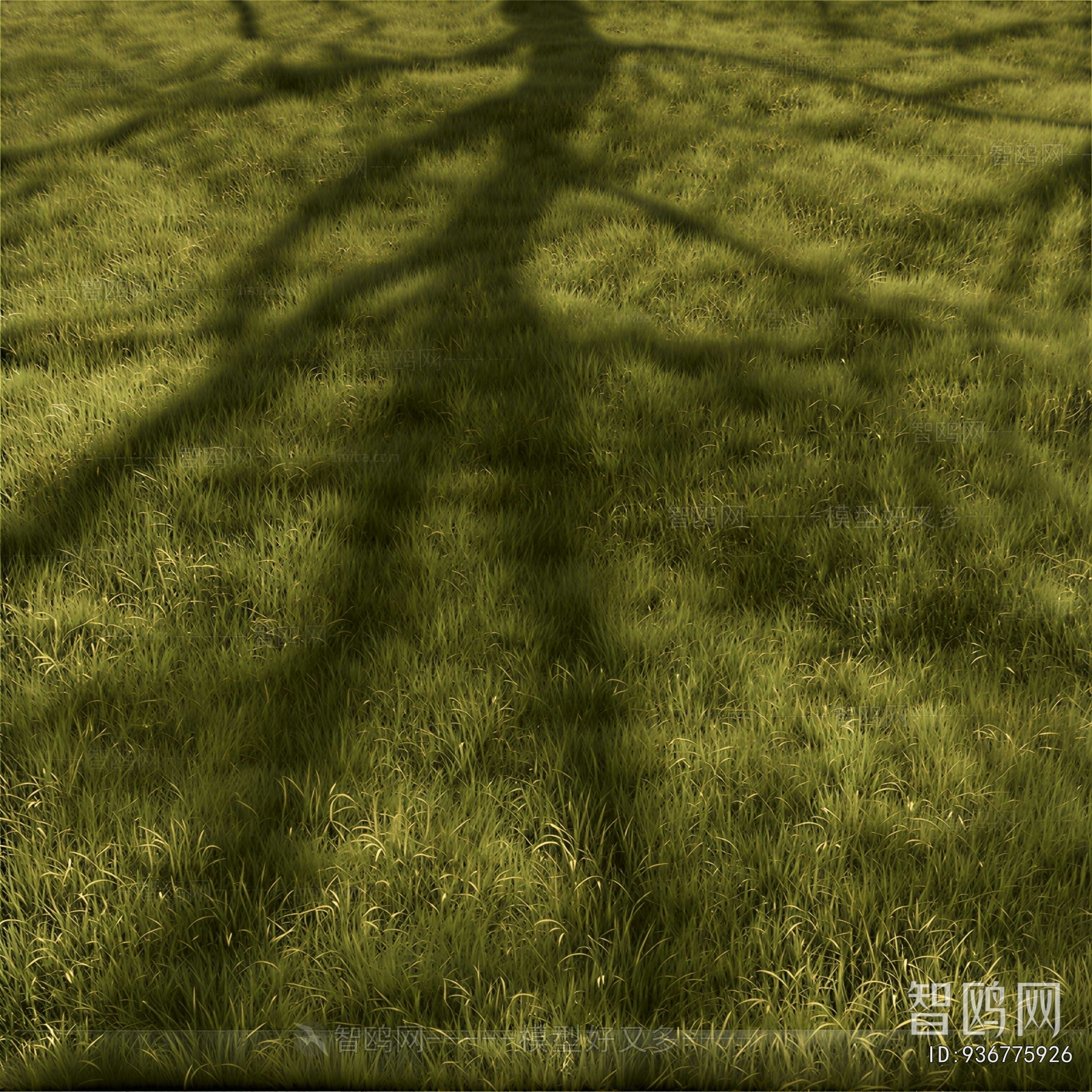 Modern The Grass