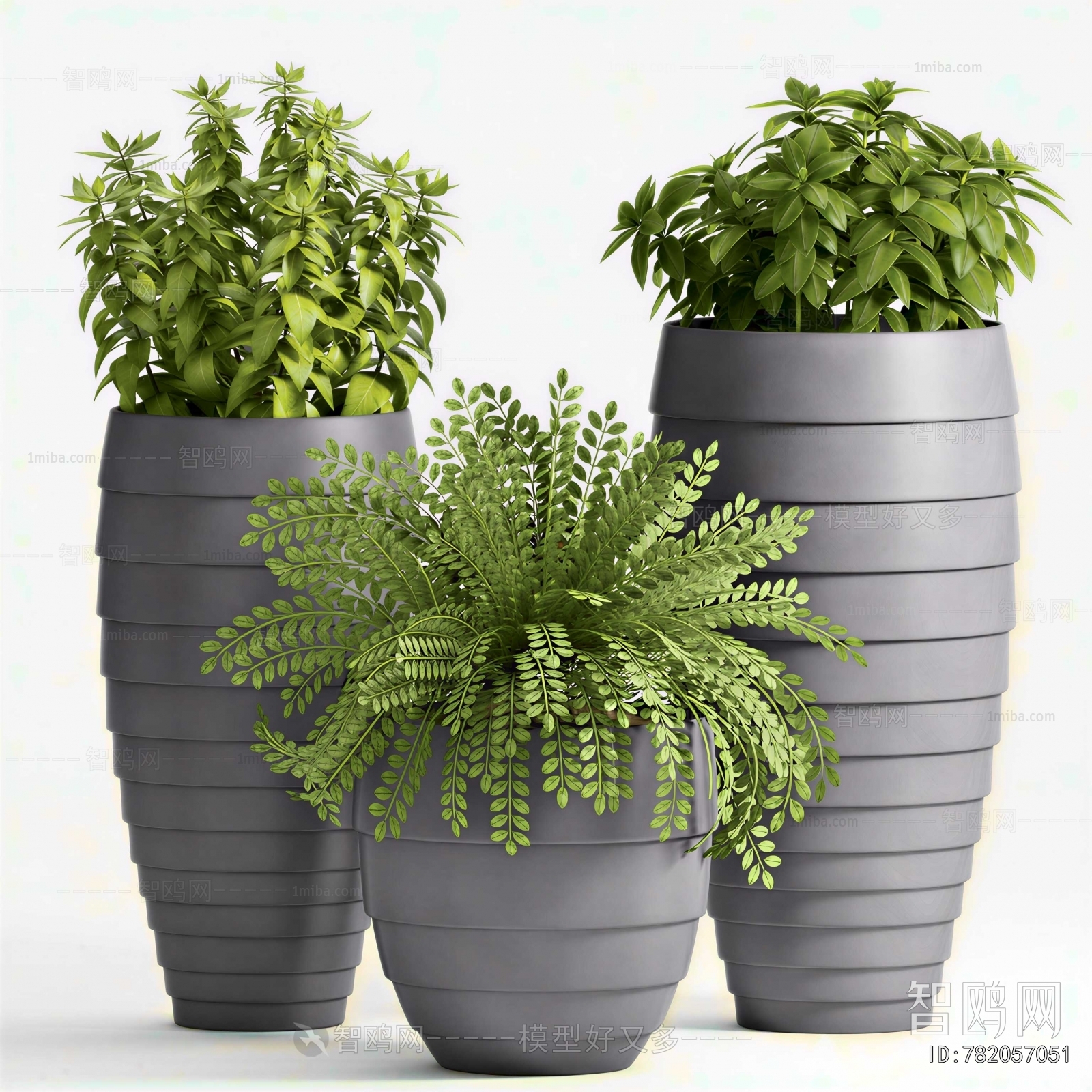 Modern Ground Green Plant Potted Plants