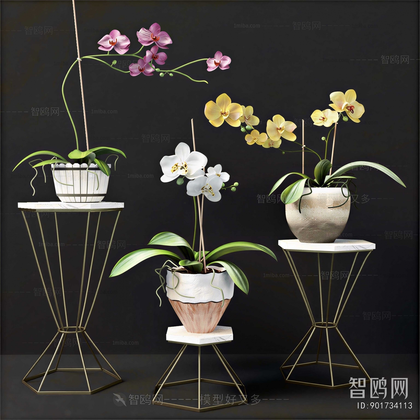 Modern Potted Green Plant