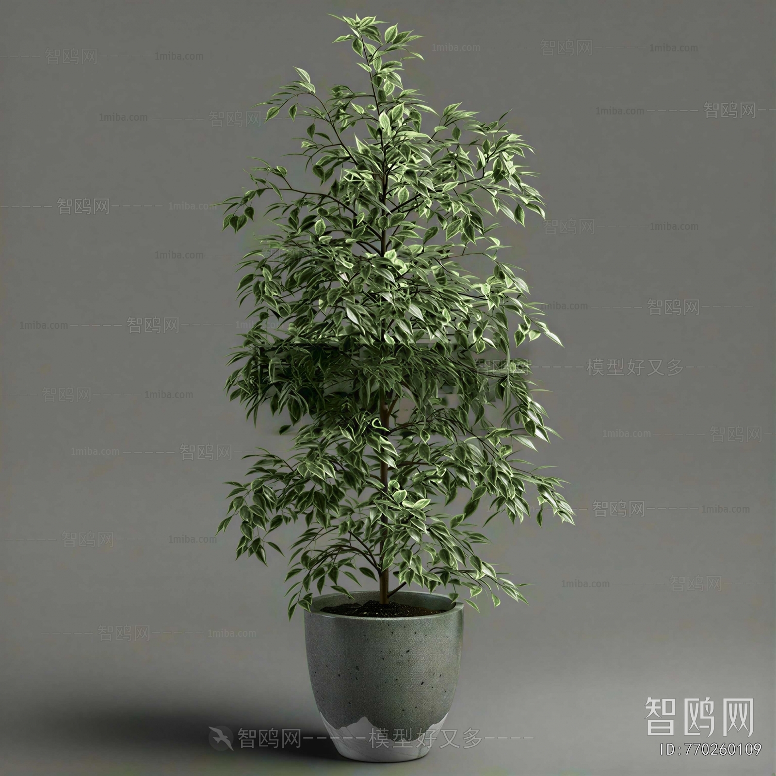 Modern Ground Green Plant Potted Plants