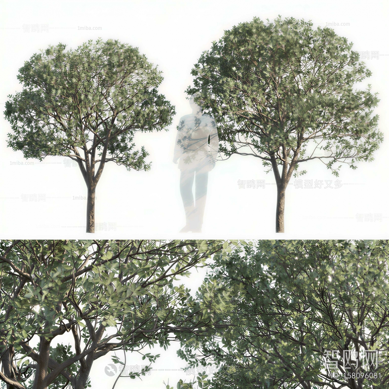 Modern Tree