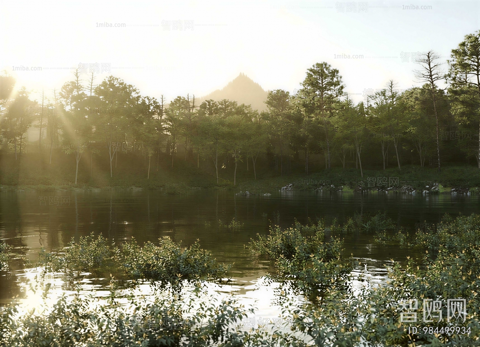 Modern Landscape