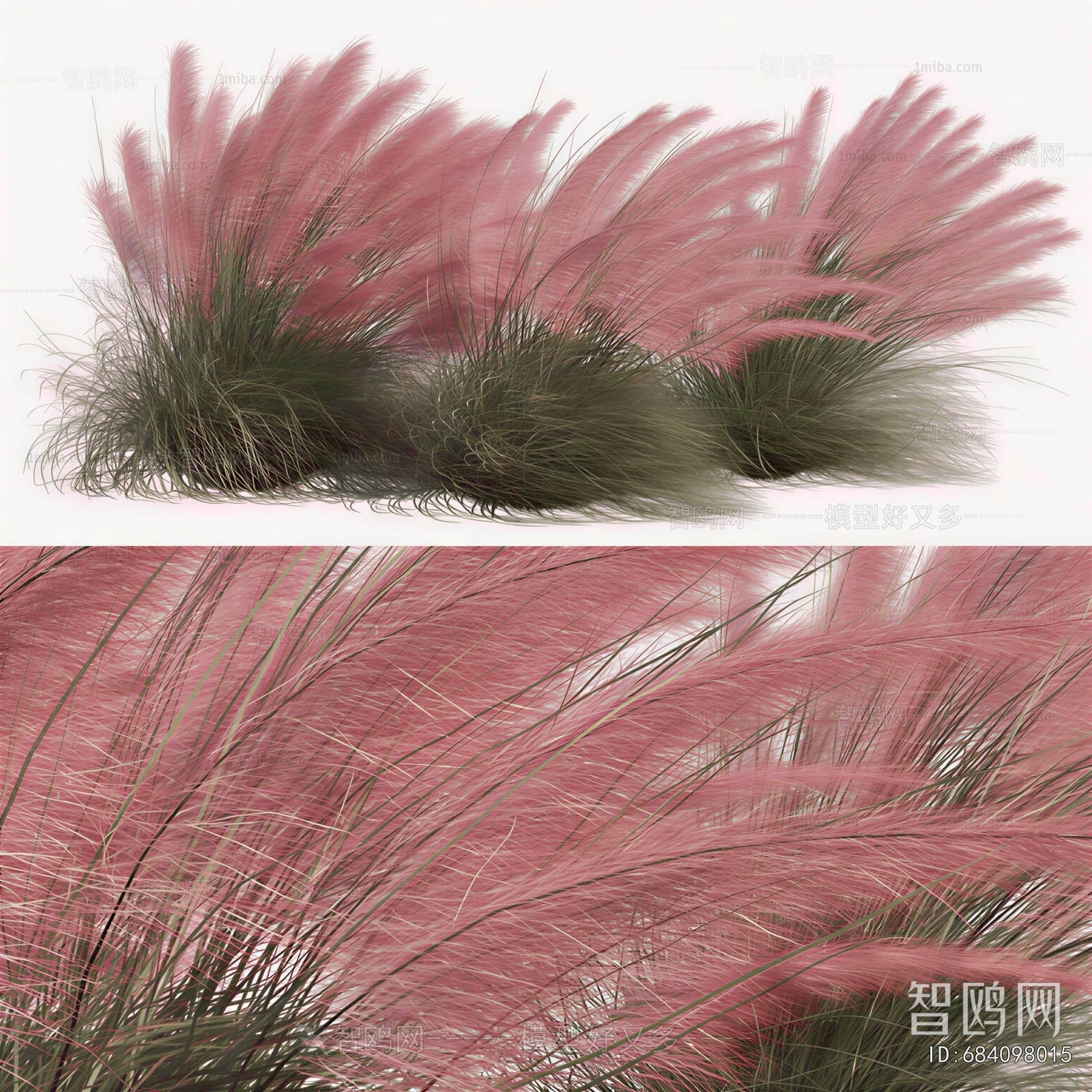 Modern The Grass